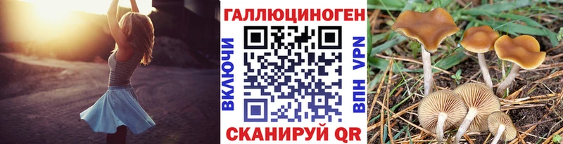 Псилоцибиновые грибы GOLDEN TEACHER  Купить  Кирсанов 